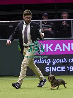 Crufts 2018