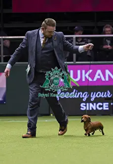 Crufts 2018