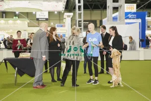 Young Kennel Club