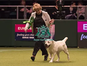 Crufts 2018
