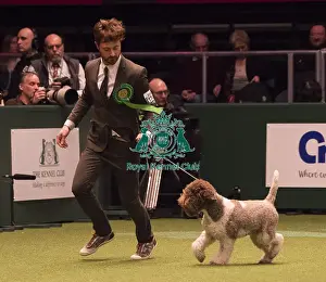 Crufts 2018