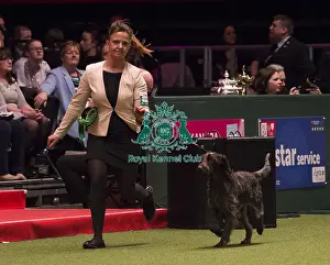 Crufts 2018