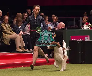Crufts 2018
