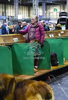 Crufts 2018