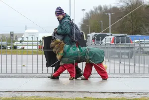 Crufts 2018