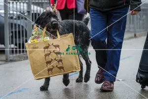Crufts 2018