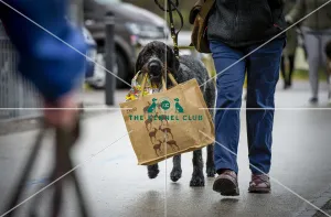 Crufts 2018
