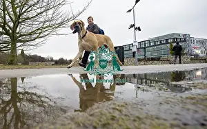 Crufts 2018