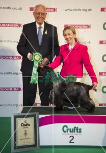 Gundog Group - winner
