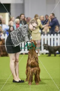 Crufts 2018