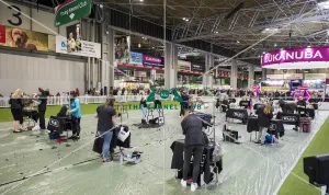 Dog Groomer of the year