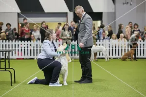 Crufts 2018