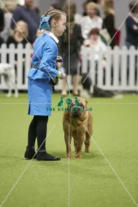 Crufts 2018