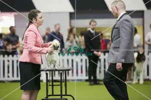 Crufts 2018