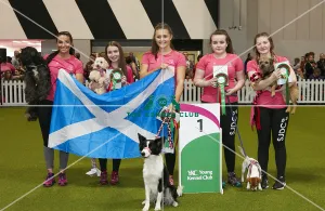 Crufts 2018