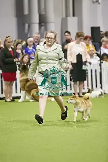 Crufts 2018