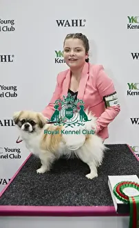 Crufts 2018