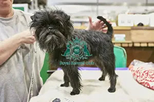 Crufts 2018