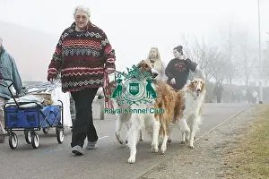 Crufts 2018