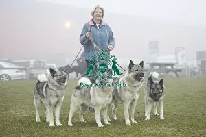 Crufts 2018