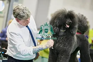 Crufts 2018