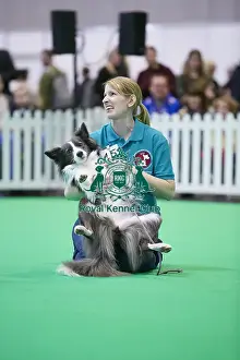 Crufts 2018