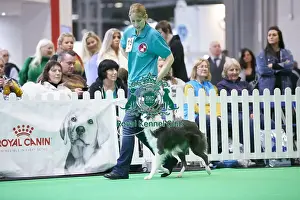 Crufts 2018