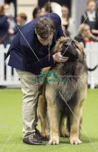 Crufts 2018
