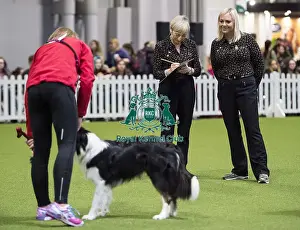 Crufts 2018
