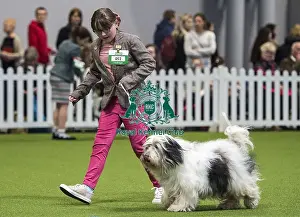 Crufts 2018