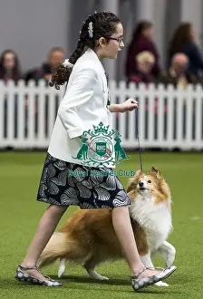 Crufts 2018