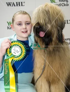 Briards
