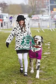 Crufts 2018