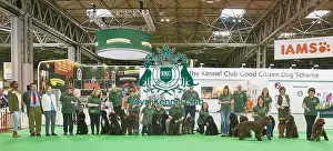 Crufts 2018