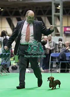Crufts 2018