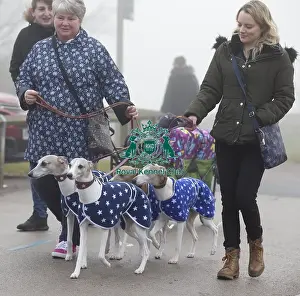 Crufts 2018