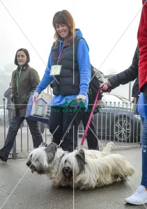 Crufts 2018