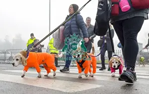 Crufts 2018