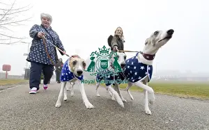 Crufts 2018