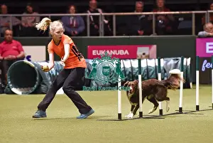 Crufts 2018
