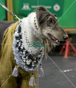 Crufts 2018