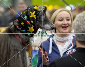 Crufts 2018