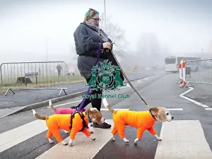 Crufts 2018