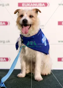 Crufts 2018