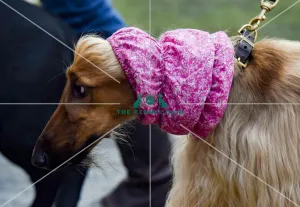 Crufts 2018