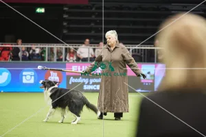 Crufts 2018