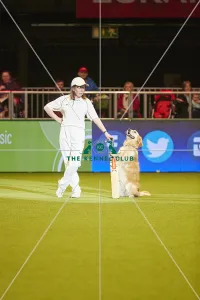 Crufts 2018