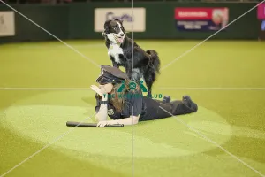 Crufts 2018