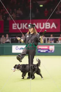 Crufts 2018