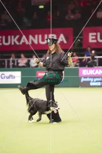 Crufts 2018